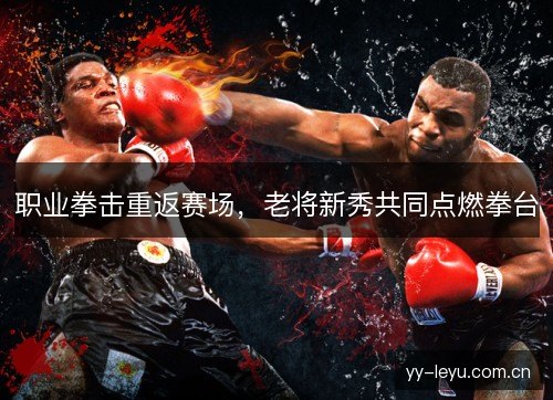 职业拳击重返赛场，老将新秀共同点燃拳台